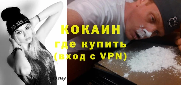 твердый Протвино