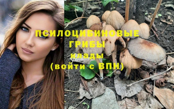jwh Пролетарск