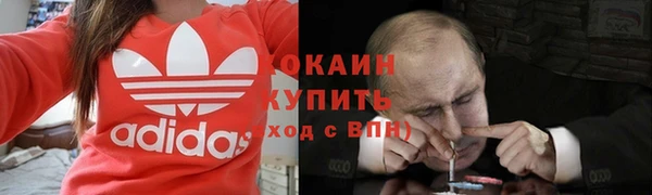 твердый Протвино