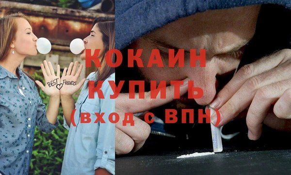 гашик Вязники