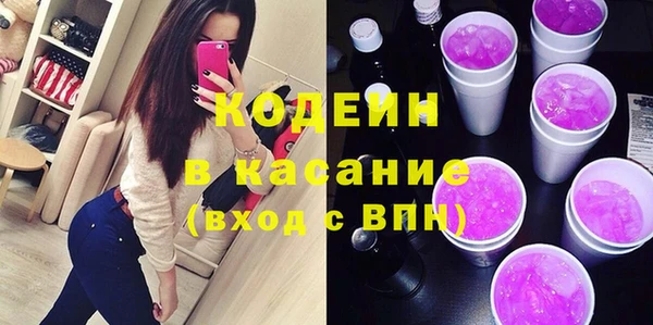 твердый Протвино