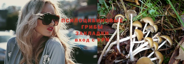 mdpv Россошь
