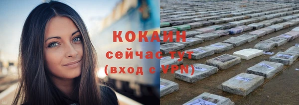 гидра Данков